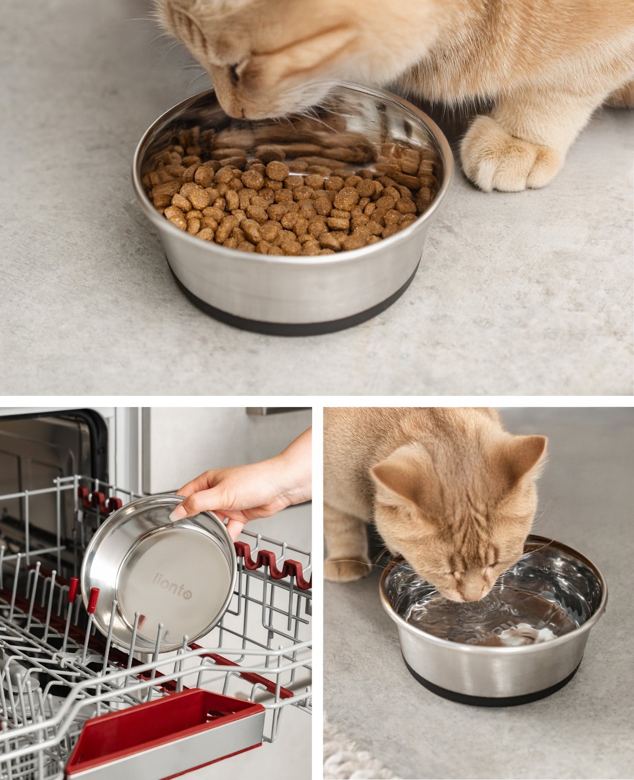 Katzennapf aus Edelstahl, rutschfest