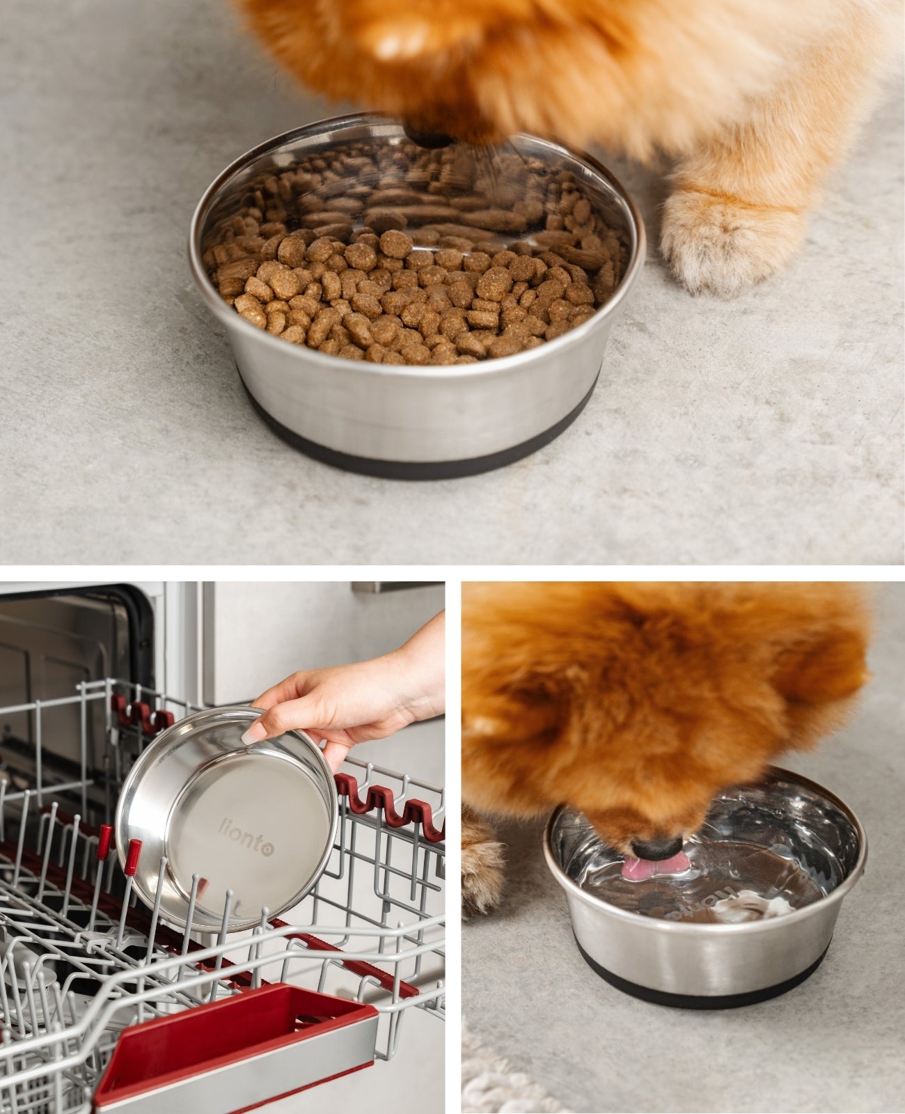 Hundenapf aus Edelstahl, rutschfest