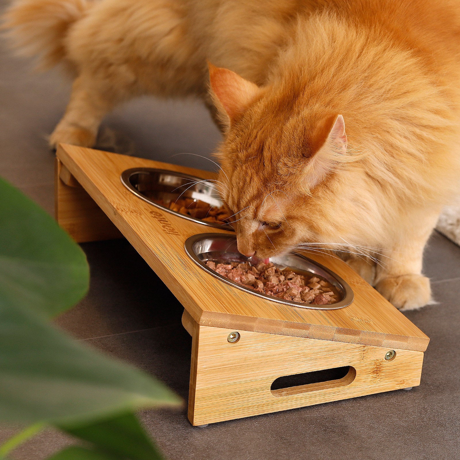 Erhöhter Katzennapf mit Bambusgestell