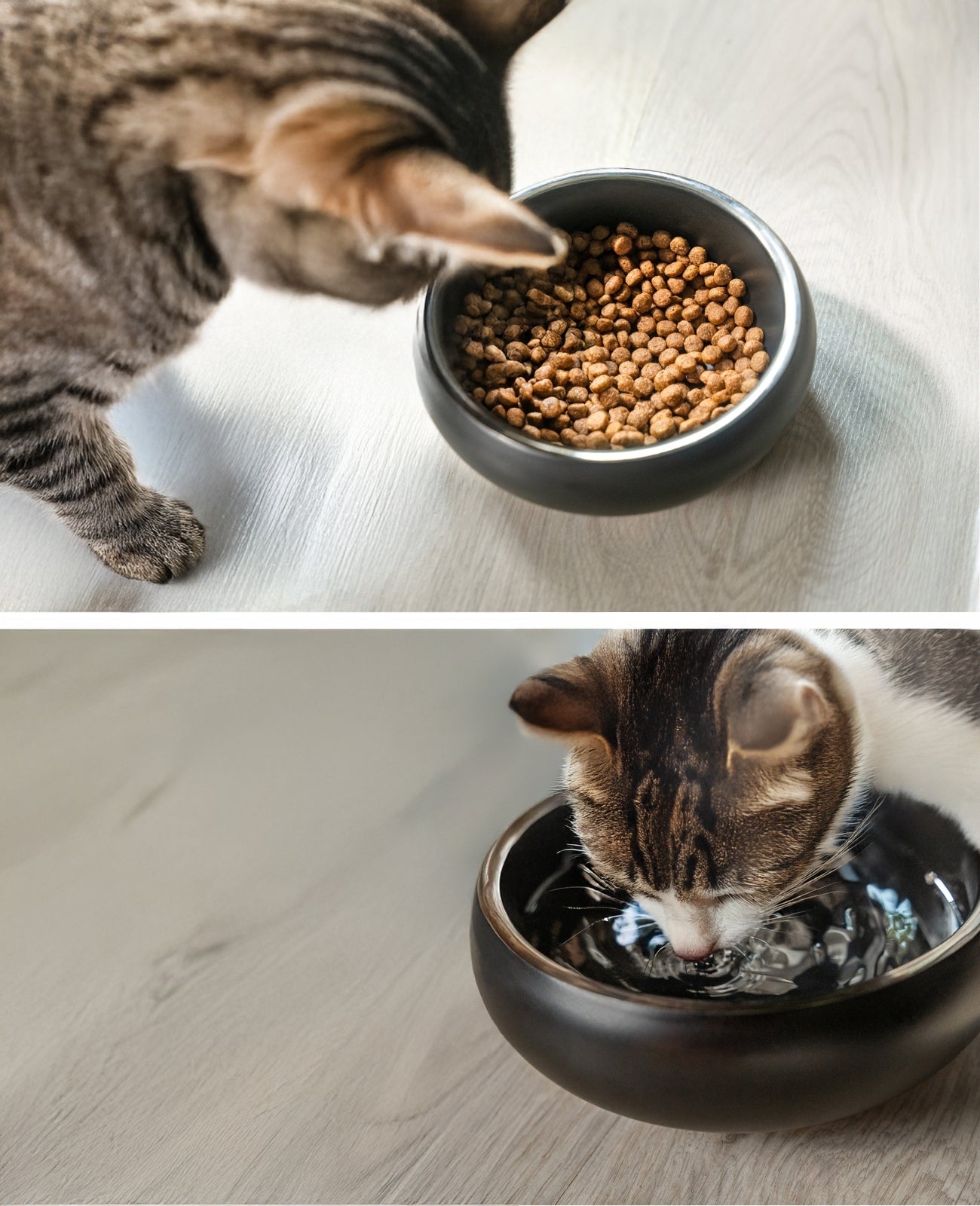 Katzennapf aus Edelstahl, gewölbt