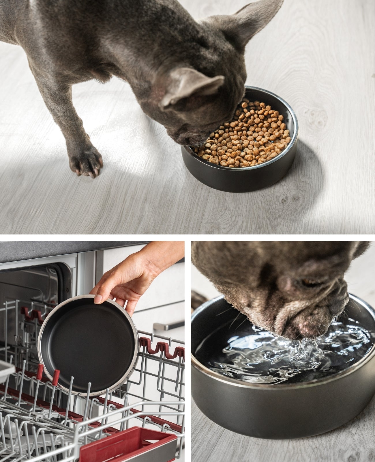 Hundenapf aus Edelstahl