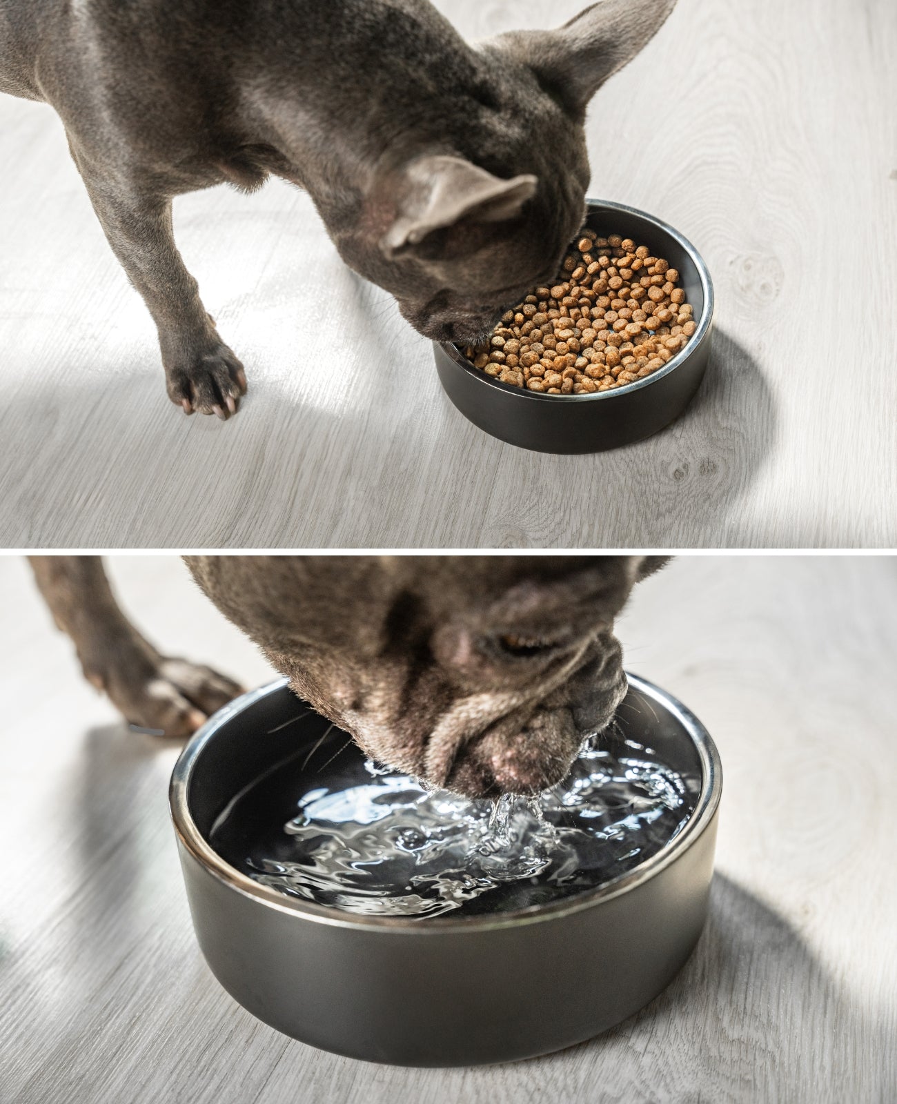 Hundenapf aus Edelstahl