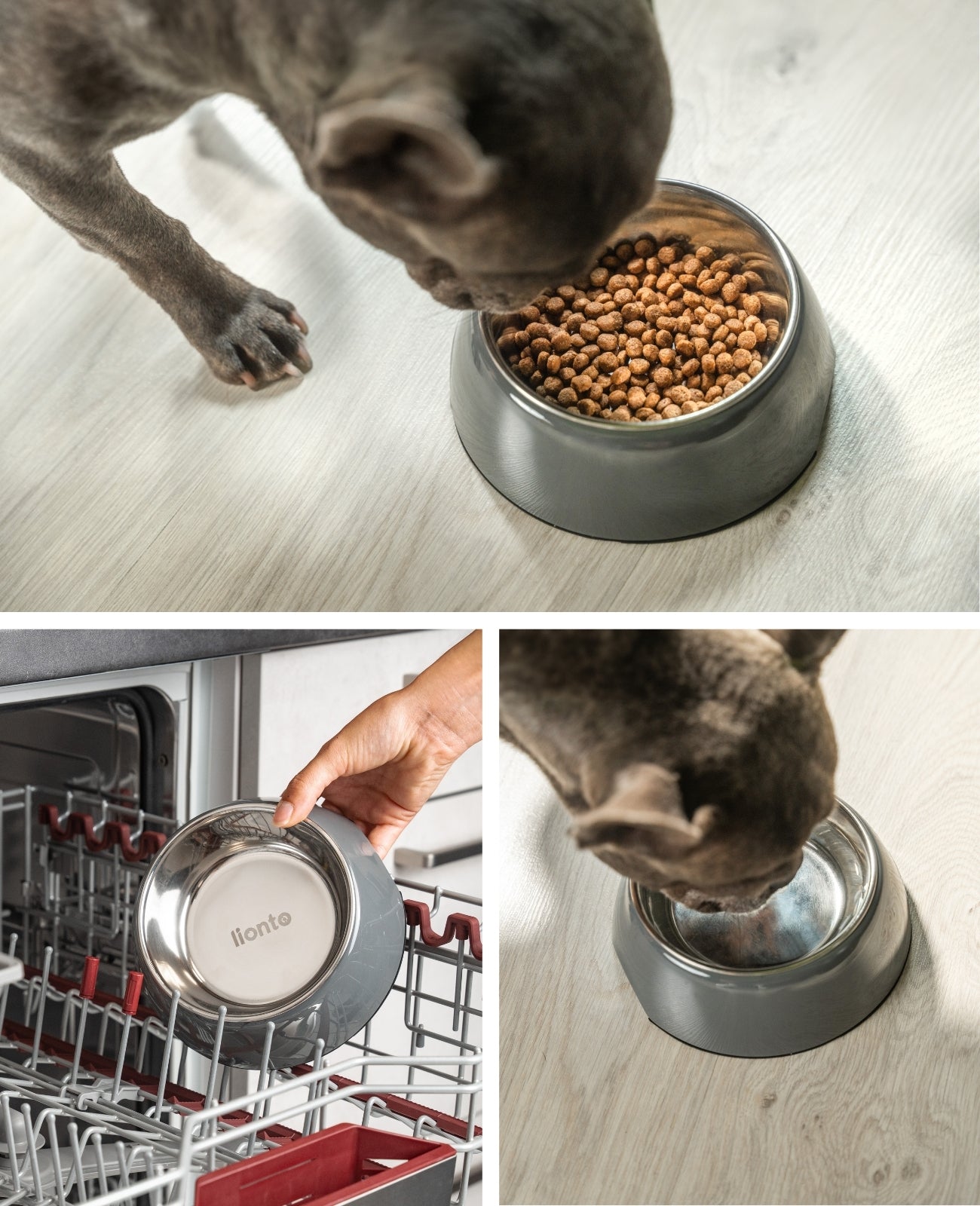 Hundenapf aus Melamin