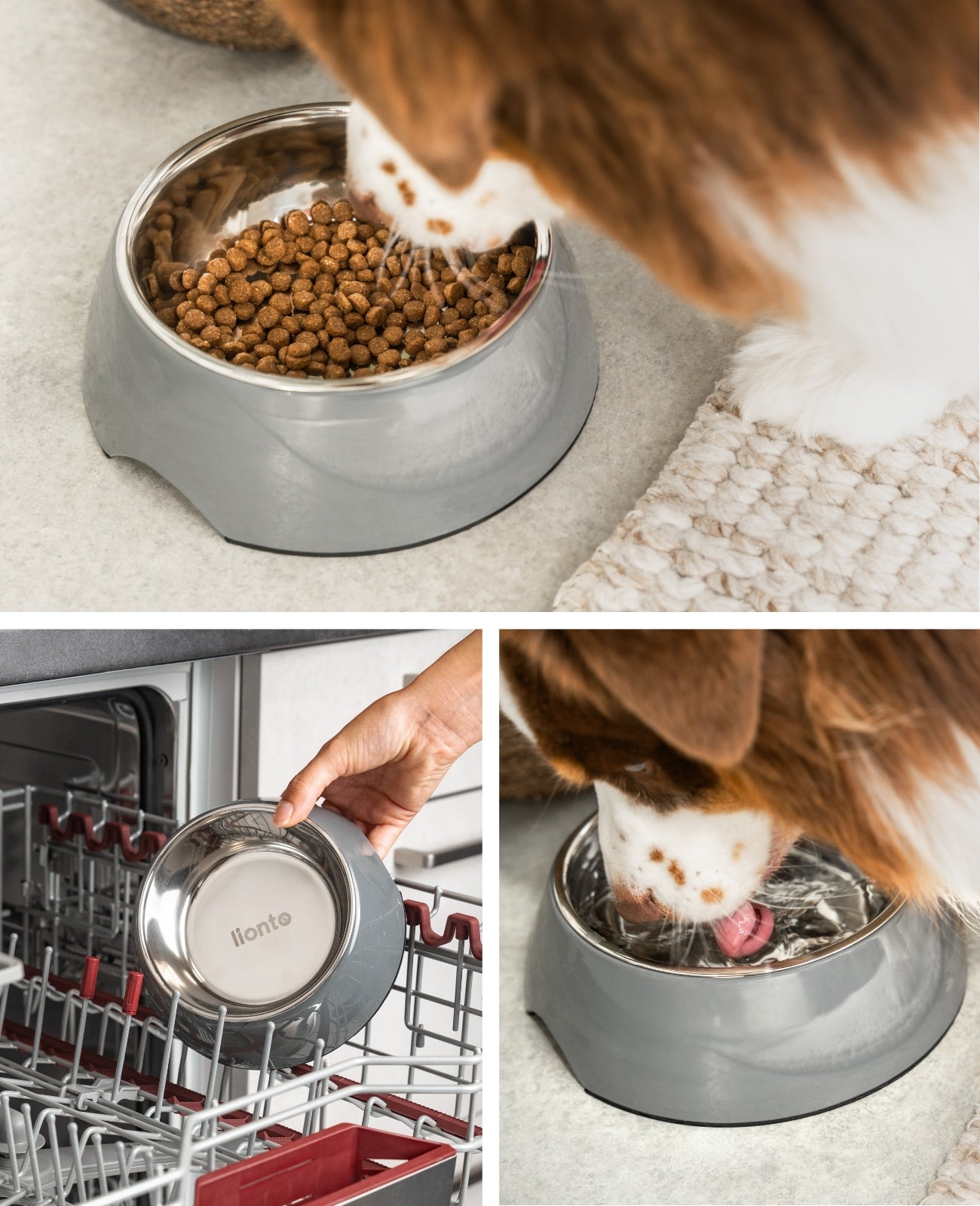 Hundenapf aus Melamin