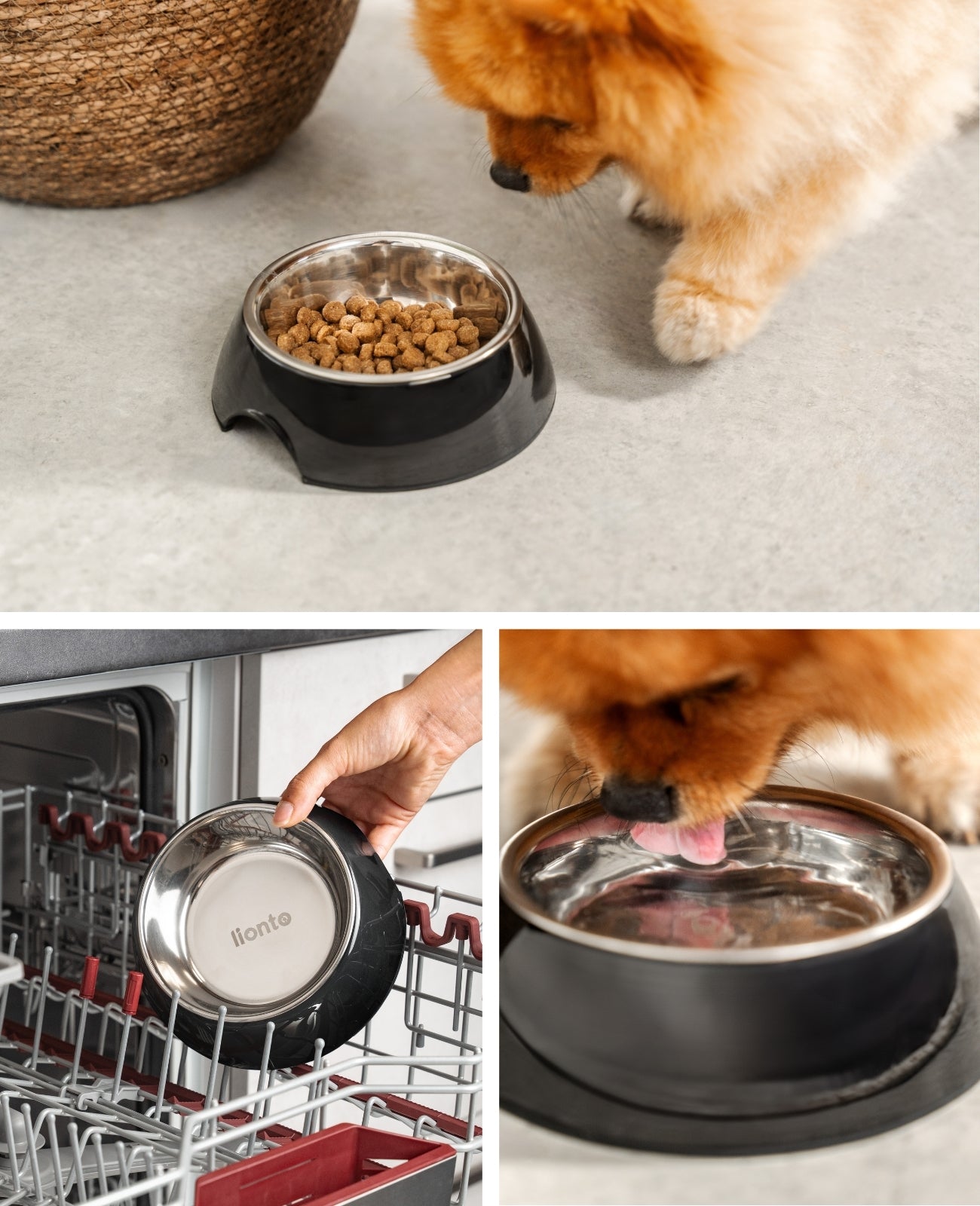 Hundenapf aus Melamin