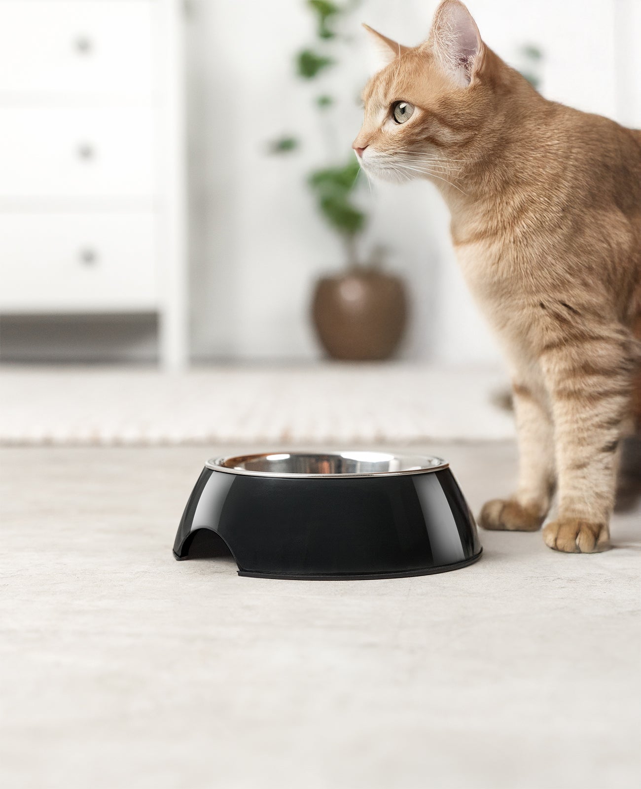 Katzennapf aus Melamin