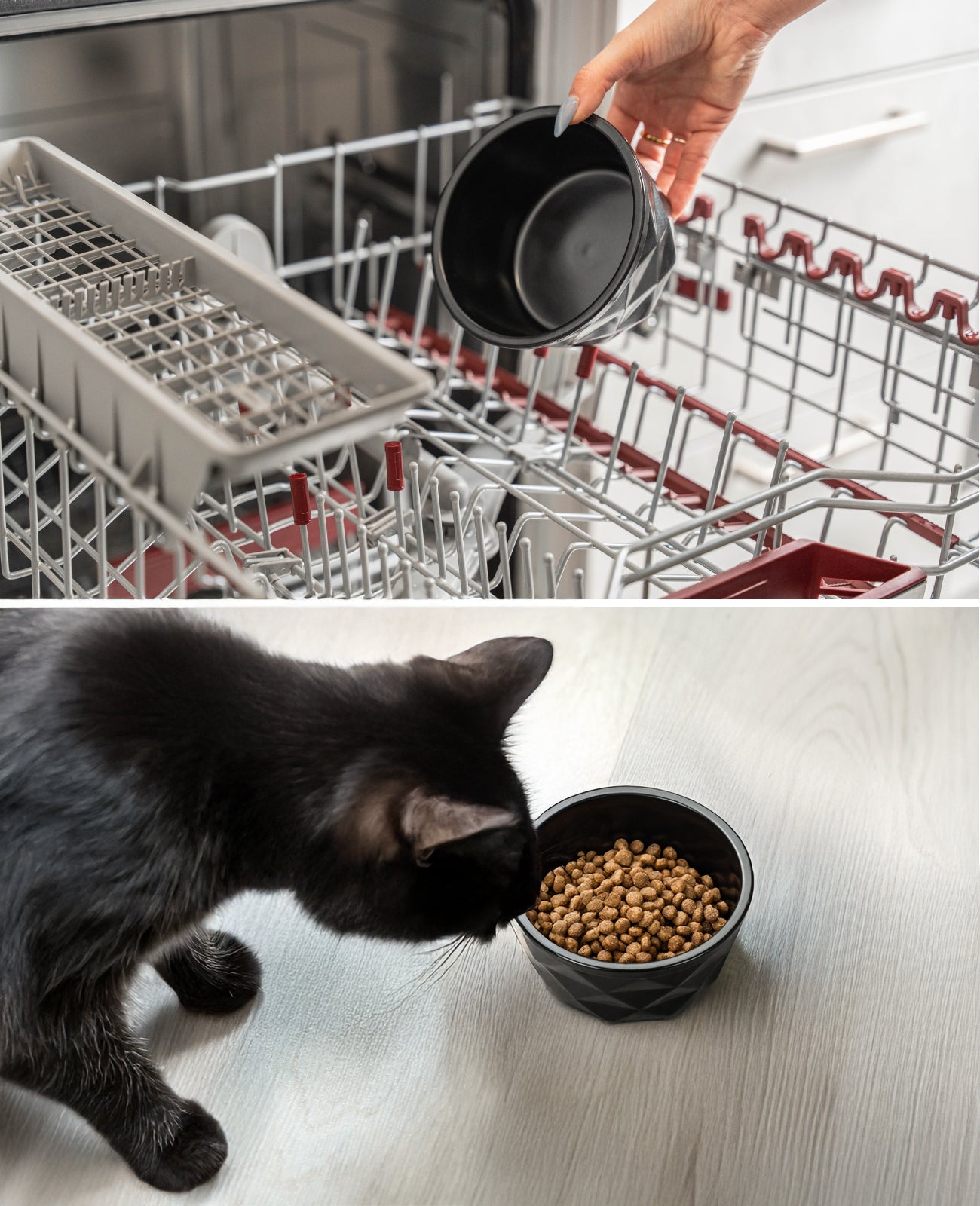 Katzennapf aus Keramik