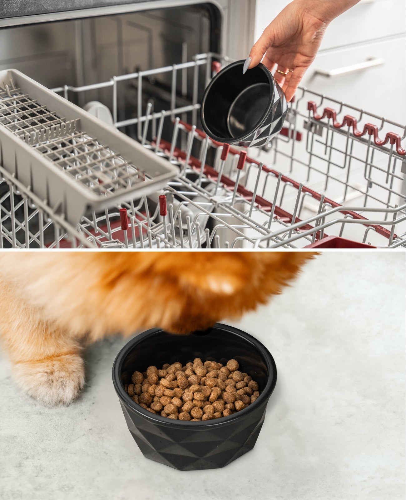 Hundenapf aus Keramik