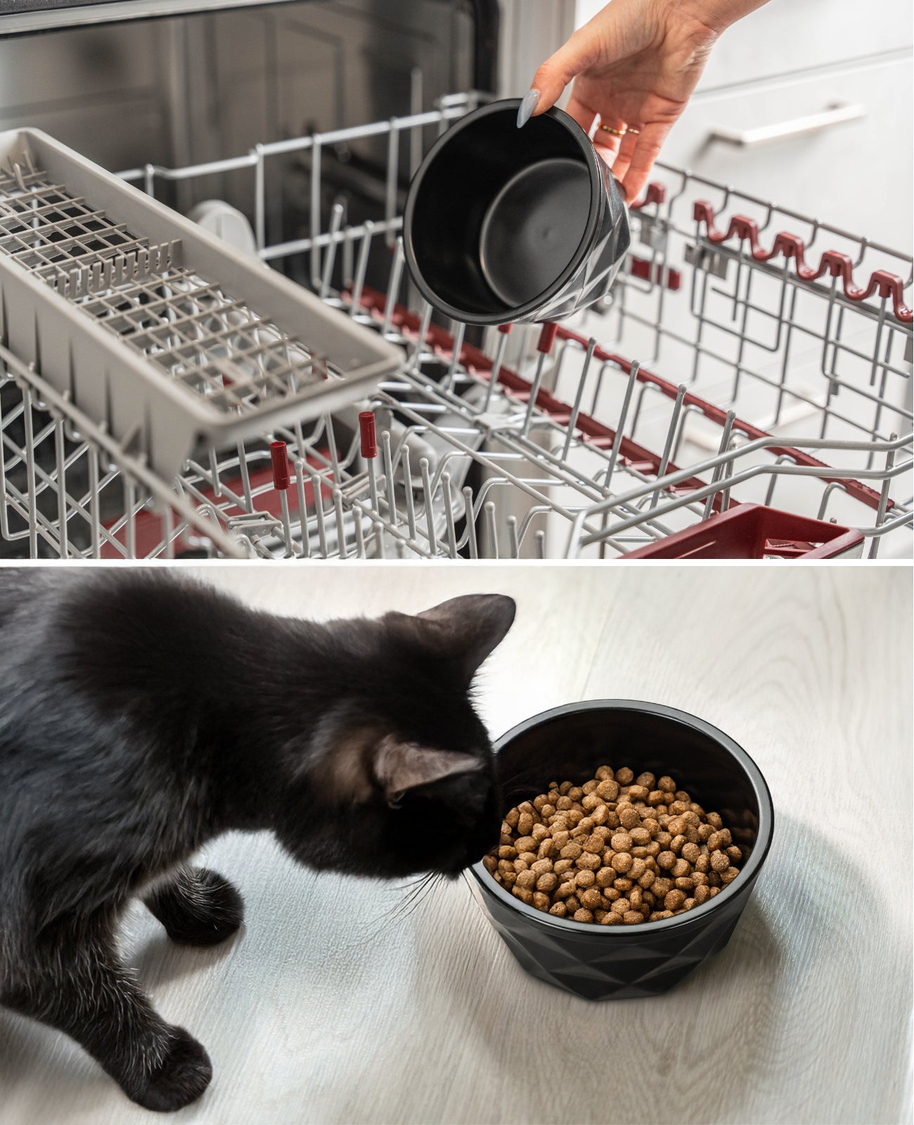 Katzennapf aus Keramik