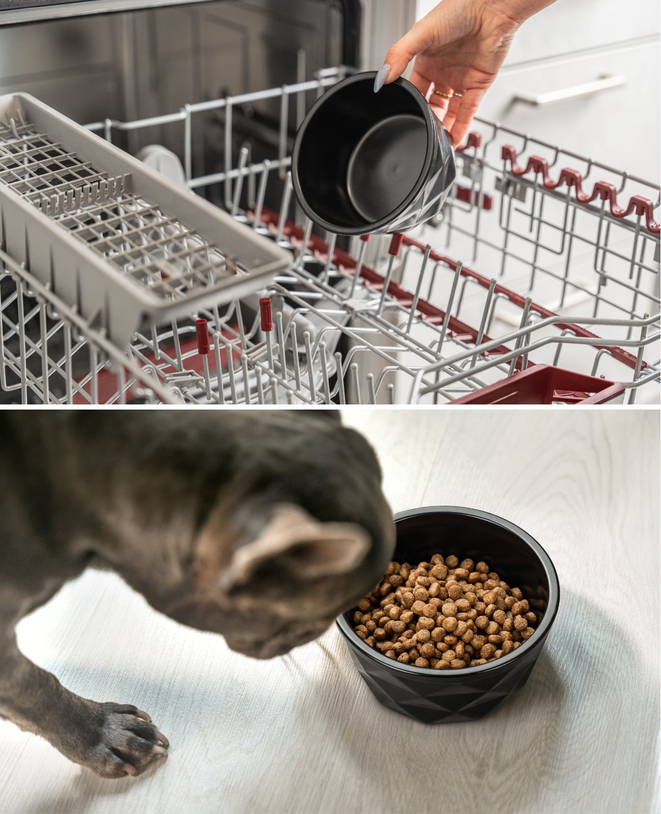 Hundenapf aus Keramik