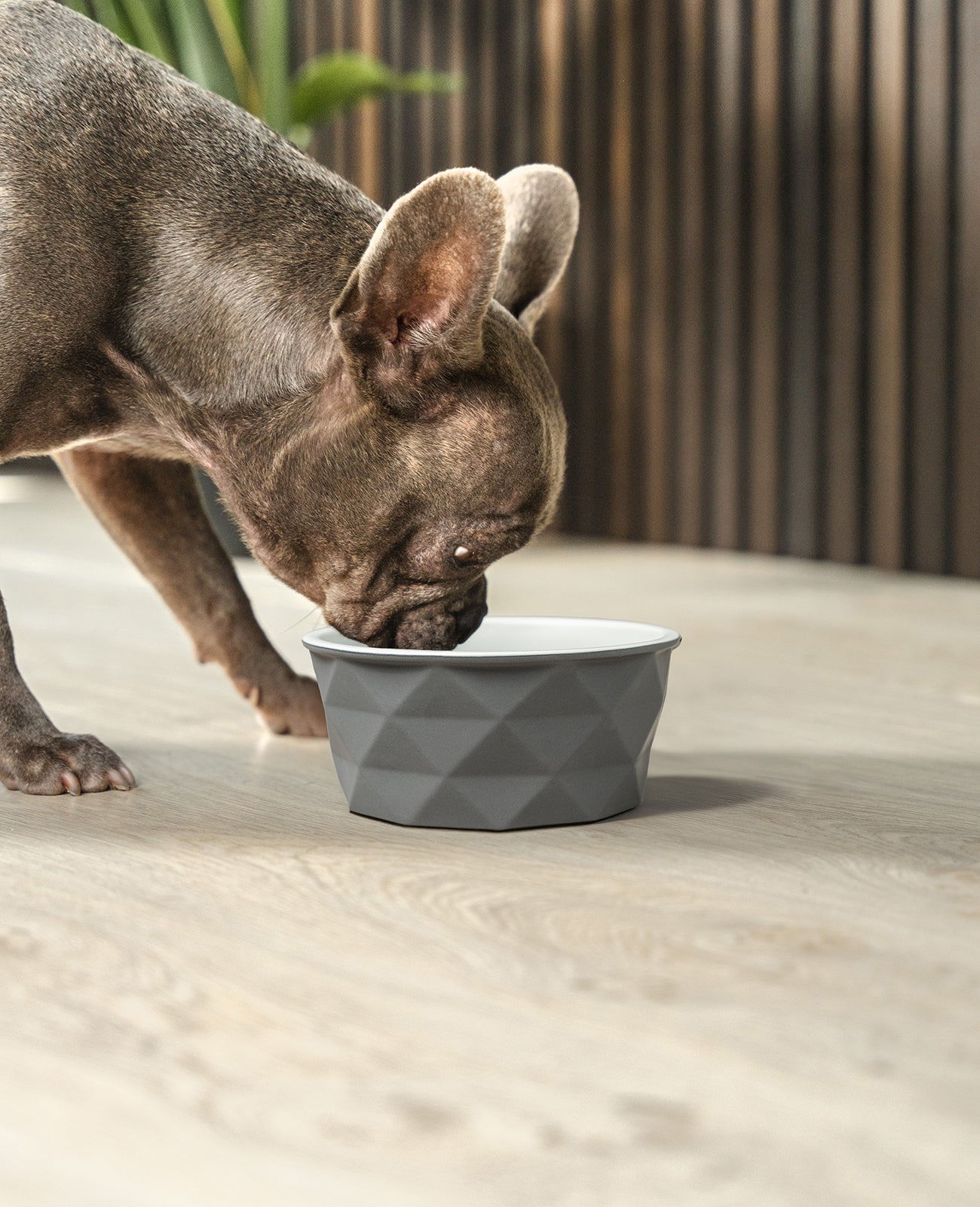 Hundenapf aus Keramik