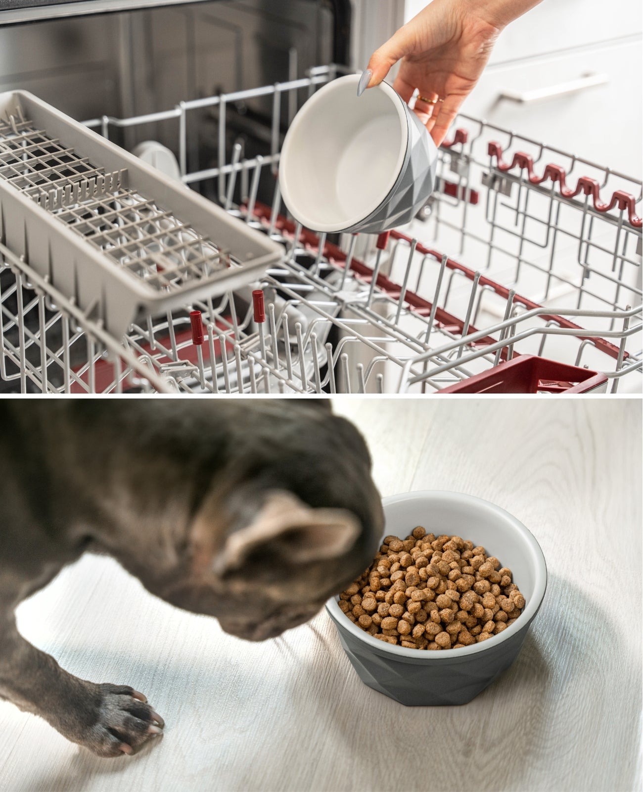 Hundenapf aus Keramik