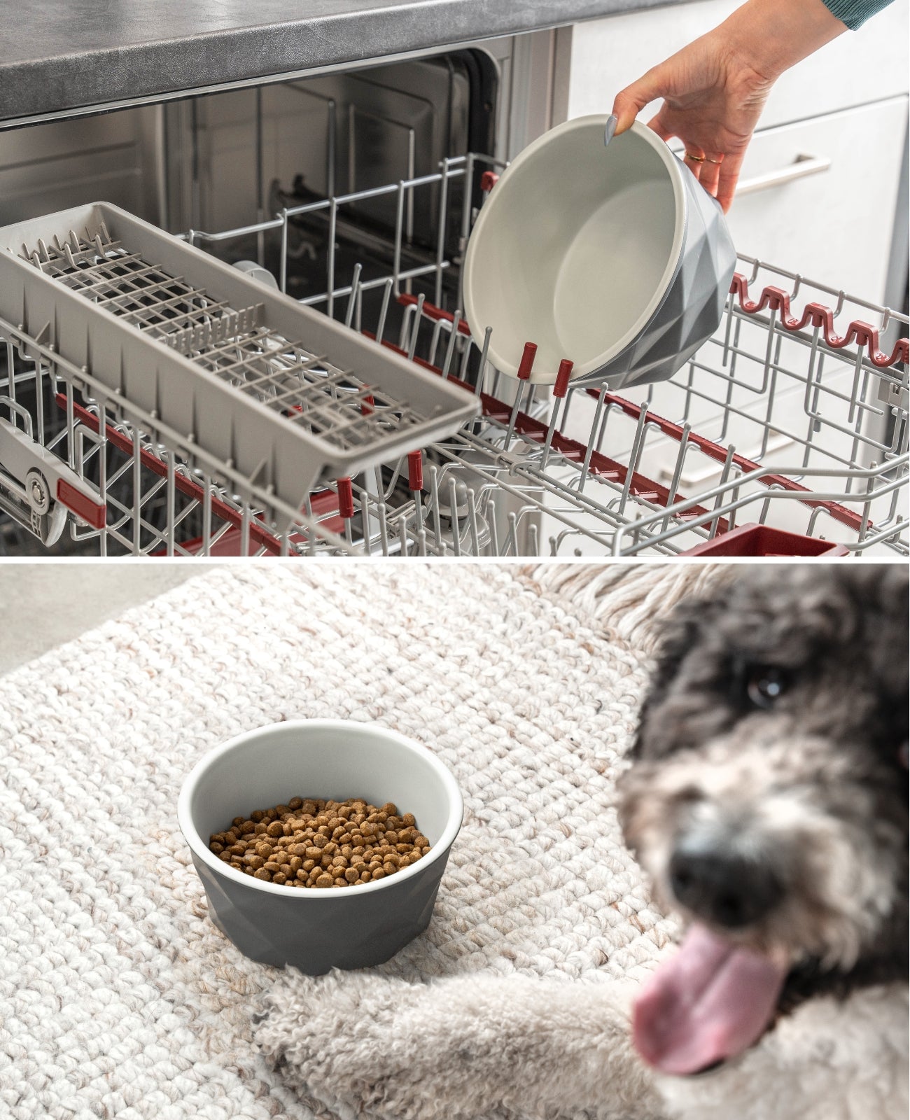 Hundenapf aus Keramik