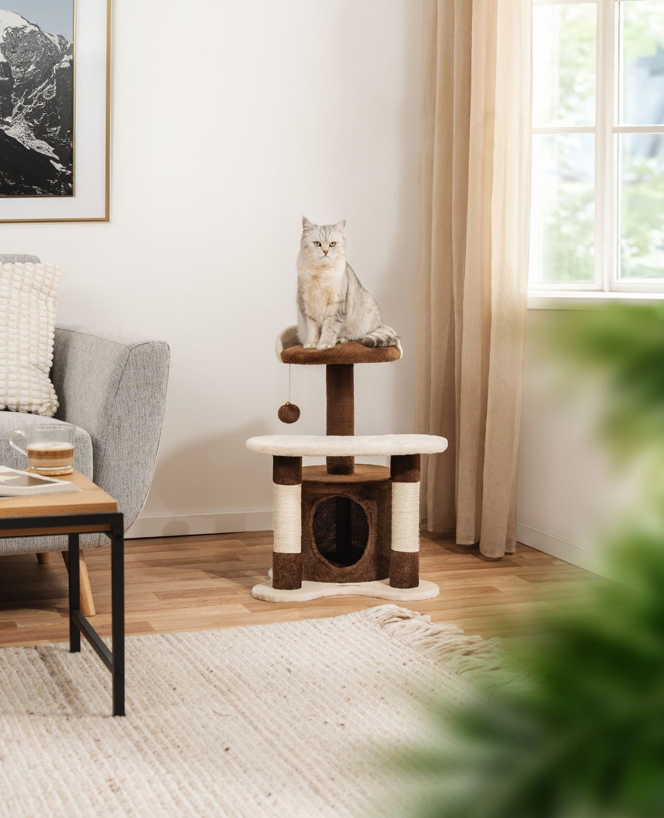 Katzenkratzbaum Höhe 65 cm