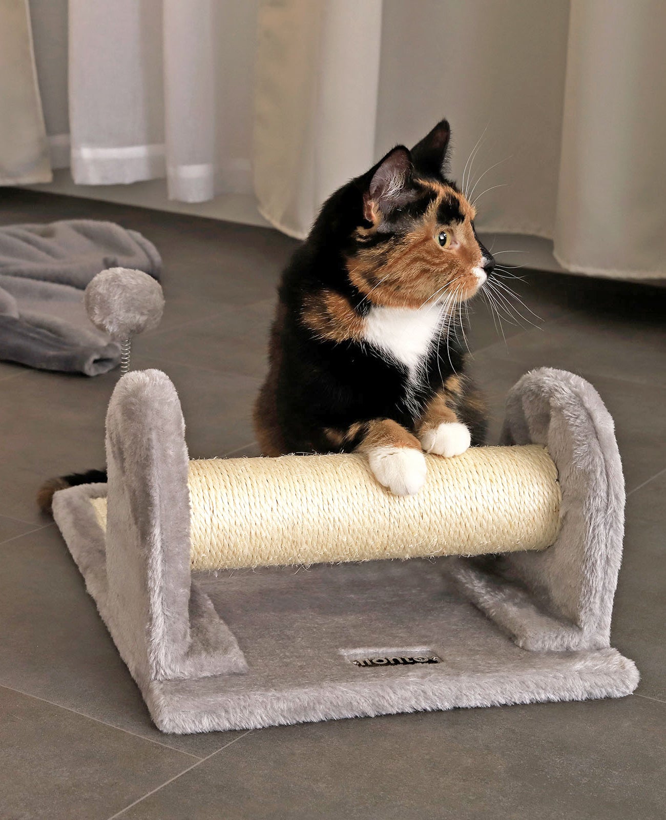 Kratzbrett mit Plüsch und Spielball