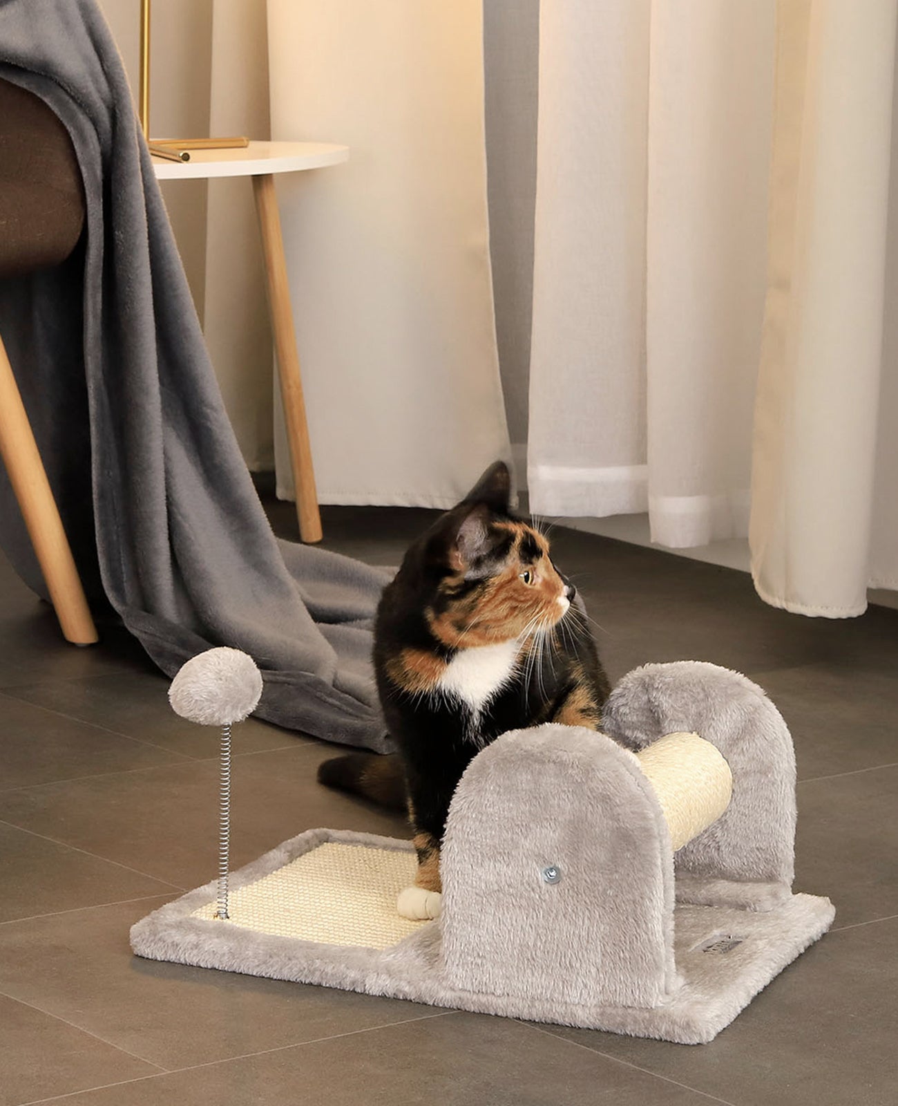 Kratzbrett mit Plüsch und Spielball