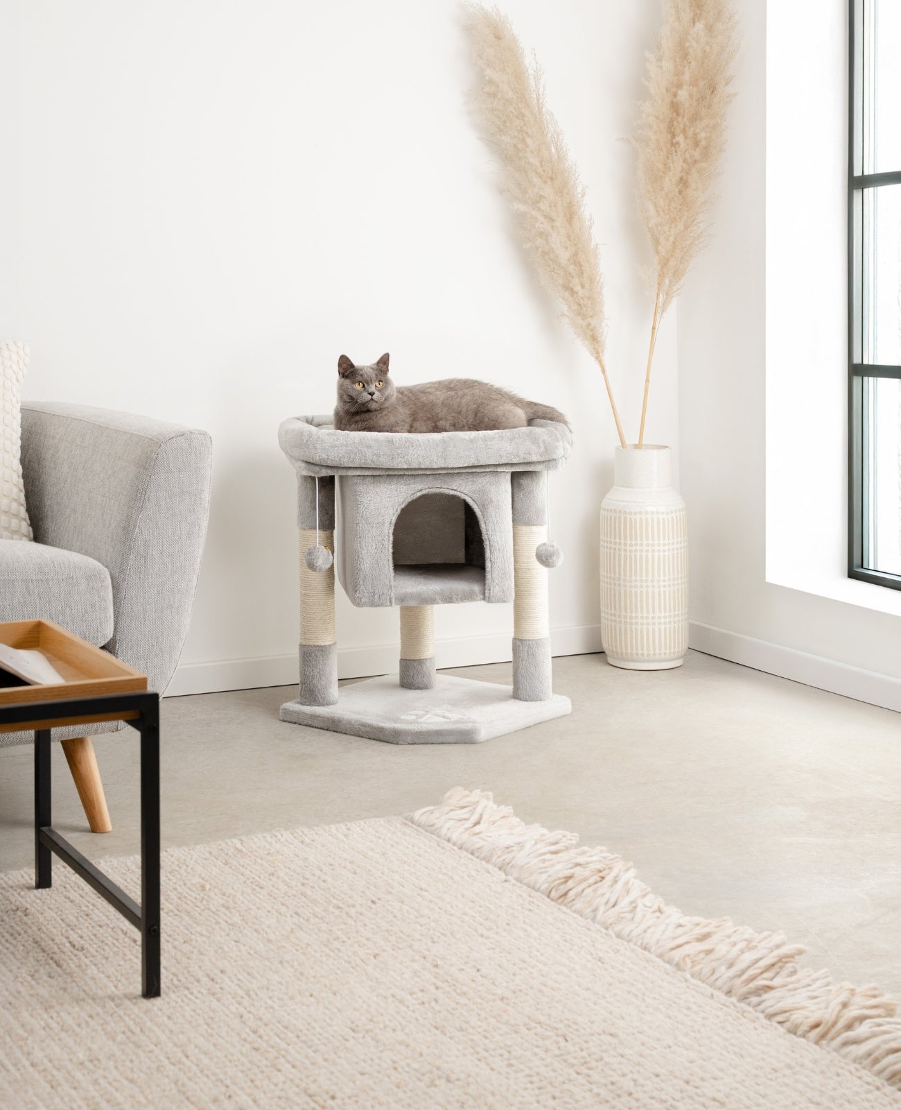 Katzenkratzbaum Höhe 60 cm