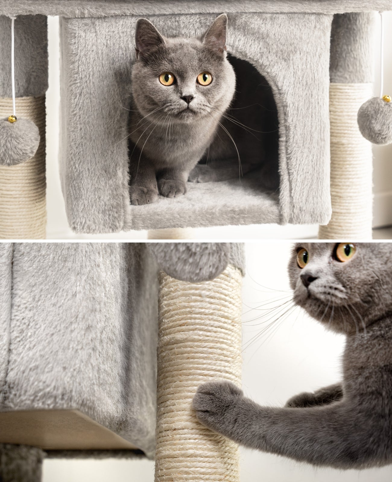 Katzenkratzbaum Höhe 60 cm