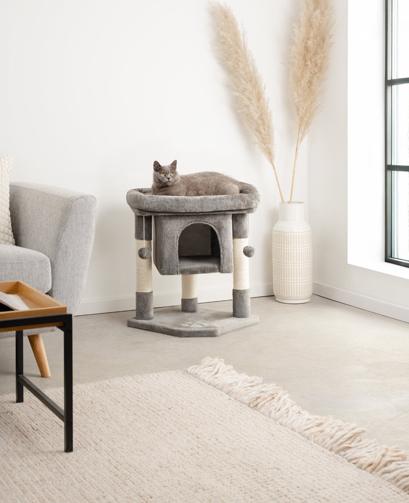 Katzenkratzbaum Höhe 60 cm