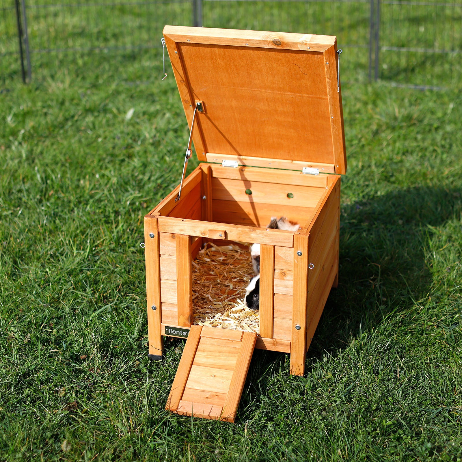 Kaninchen sitzt im Kaninchenstall mit geöffneten Eingängen im Garten