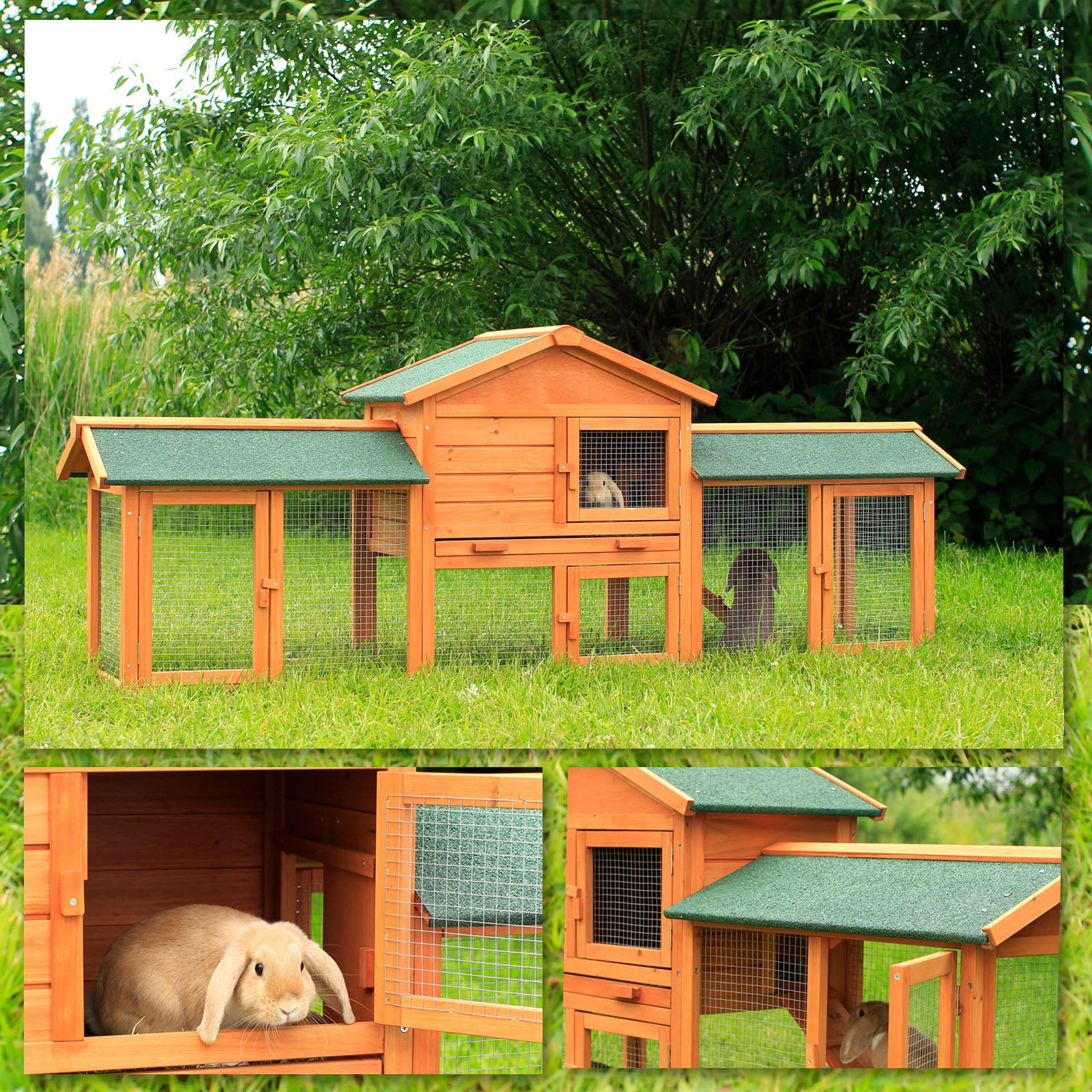 Kaninchen sitzen im Auslauf des Kaninchenstalls im Garten bei geöffneten Türen