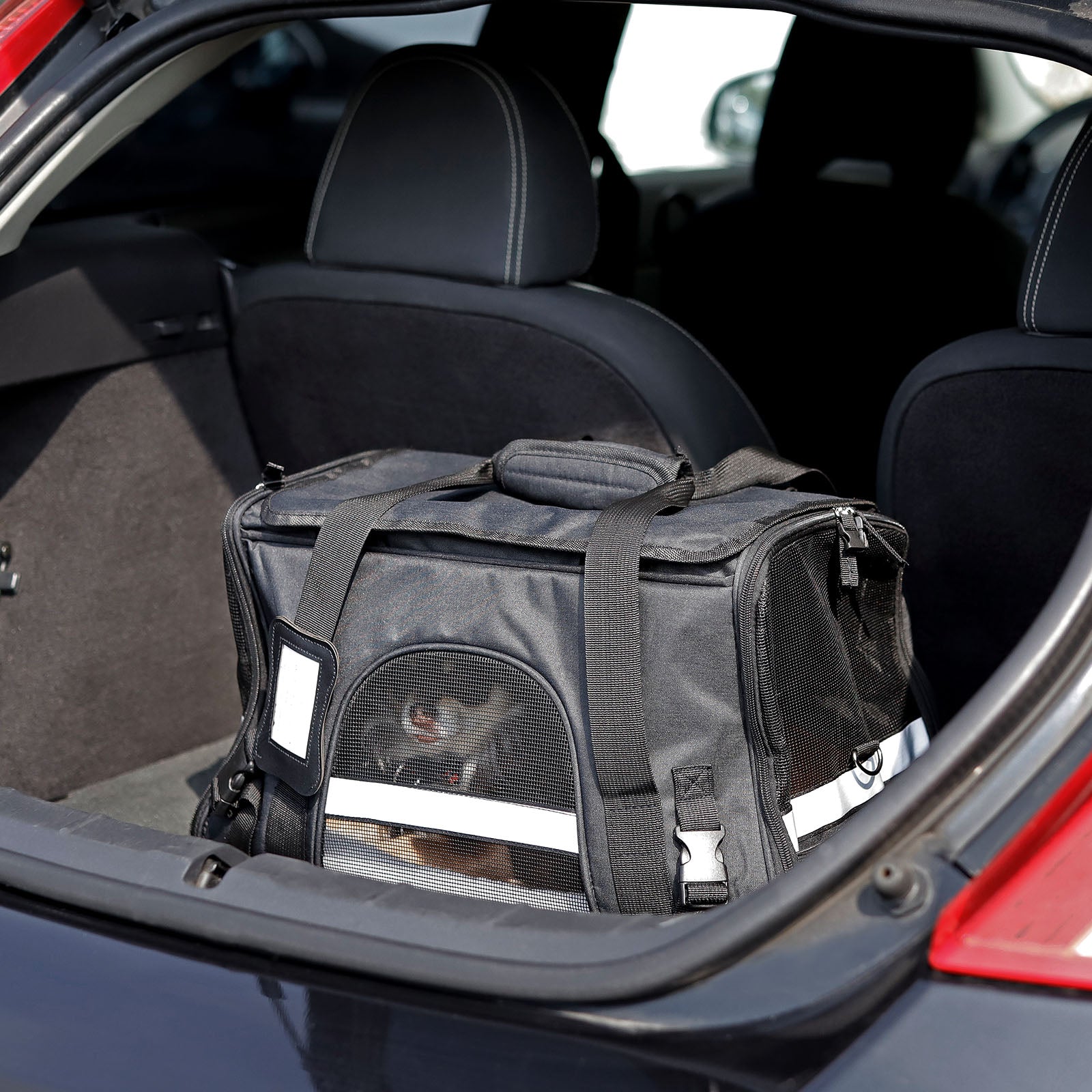 Faltbare Hundetransporttasche