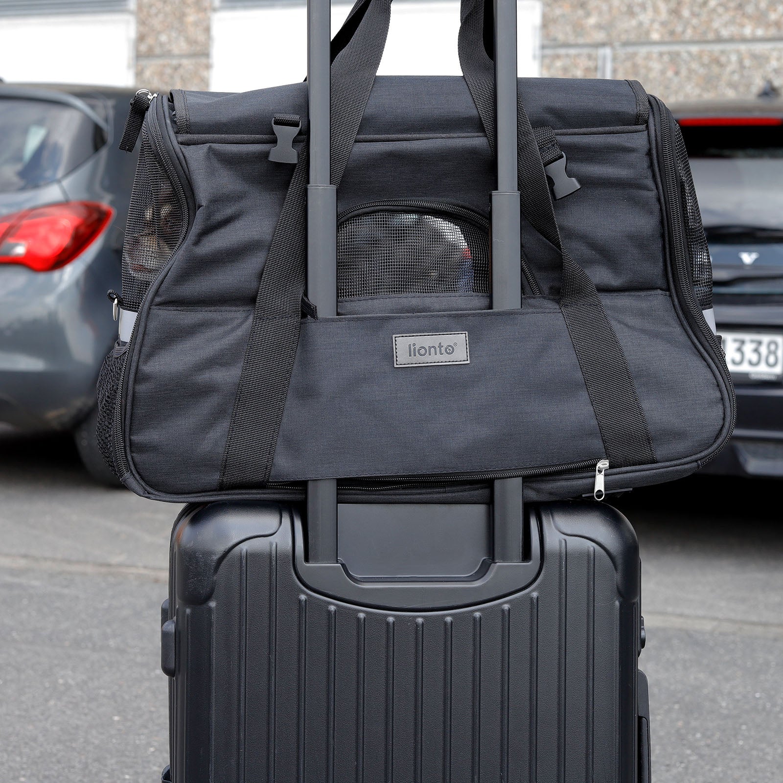 Faltbare Hundetransporttasche