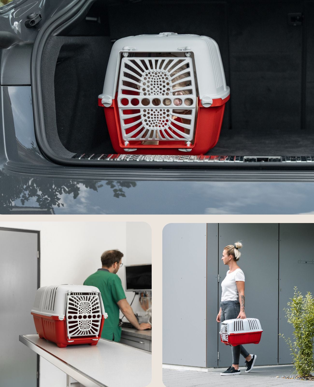 Hundetransportbox aus Kunststoff