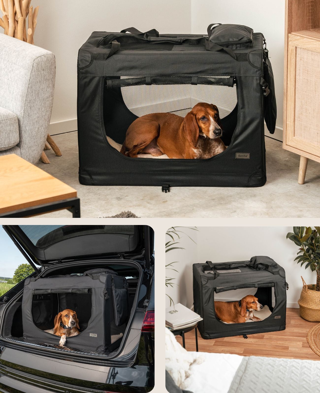 Hundetransportbox faltbar
