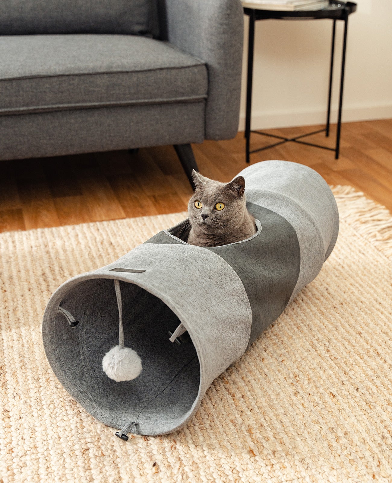 Katzentunnel mit Spielball