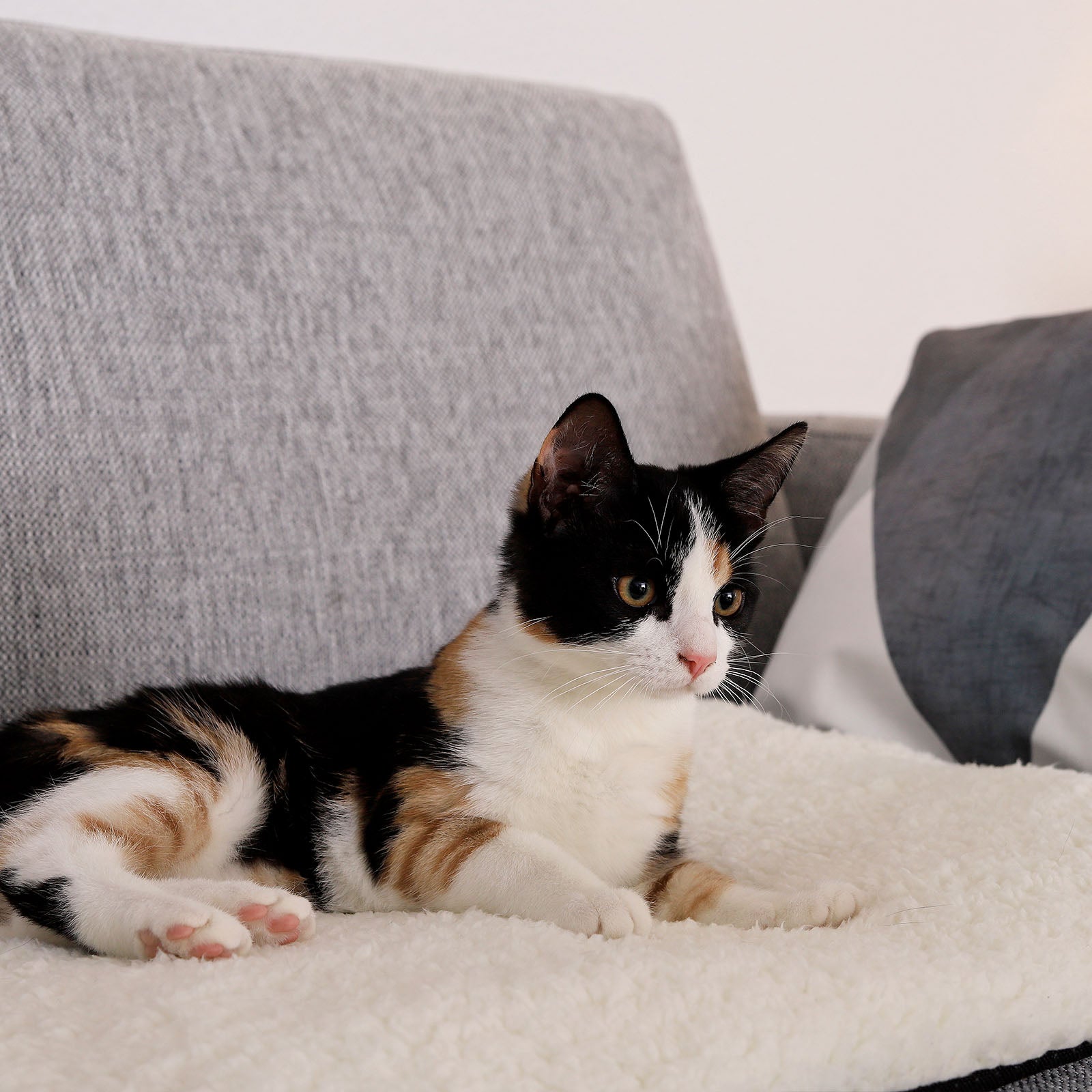 Selbstheizende Wärmematte für Katzen