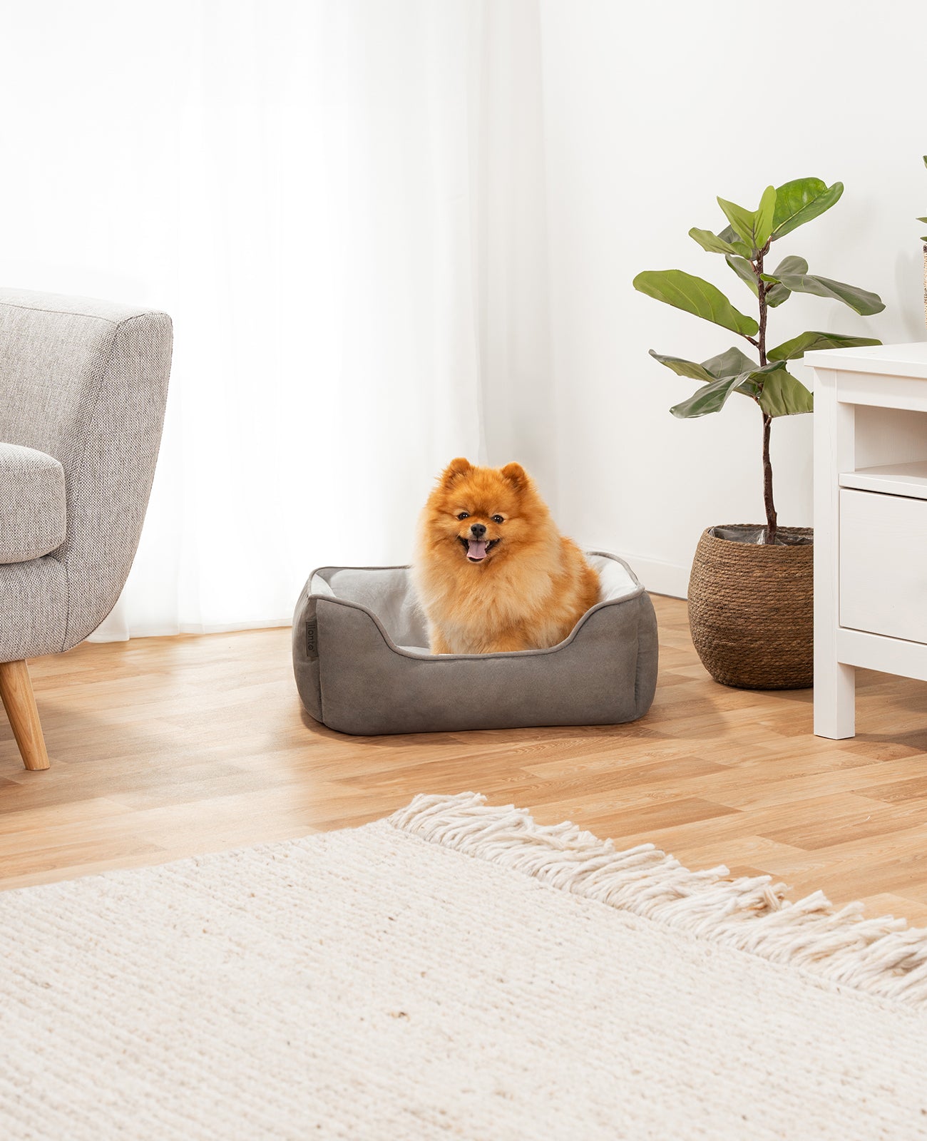 2-in-1 Hundebett in Wildlederoptik
