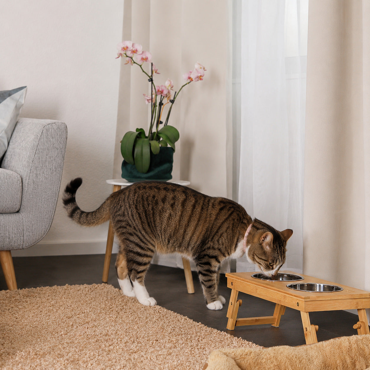 Futterstation für Katzen mit Bambusgestell