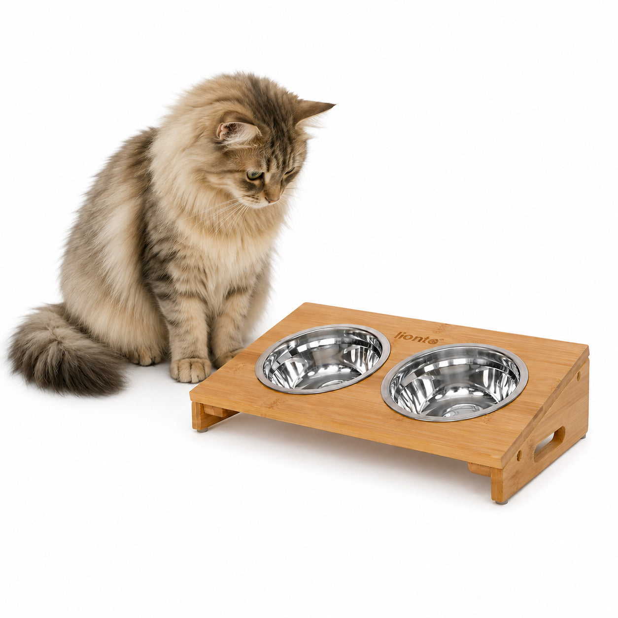 Erhöhter Katzennapf mit Bambusgestell