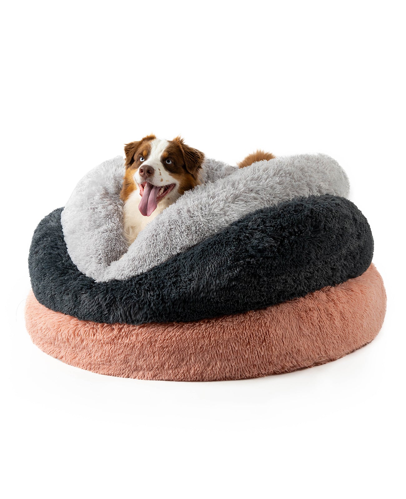 Border Collie liegt auf Stapel von Hundebetten aus Plüsch in Donutform in hellgrau, grau und rosa